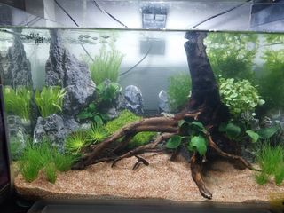 (Category: ) located in . Submitted by manudona (Listing ID 1266822564, Image 1). Description: .
