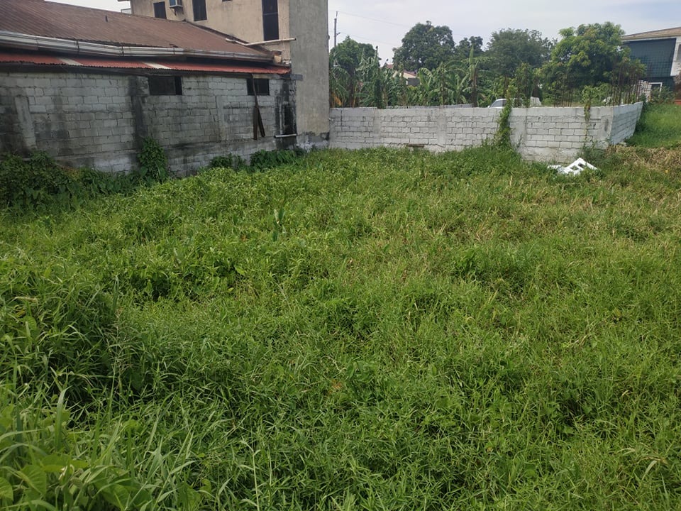 Bare land for Sale at Bay Breeze C6 Taguig City, Property, For Sale
