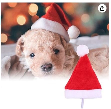 Dog outlet xmas dress