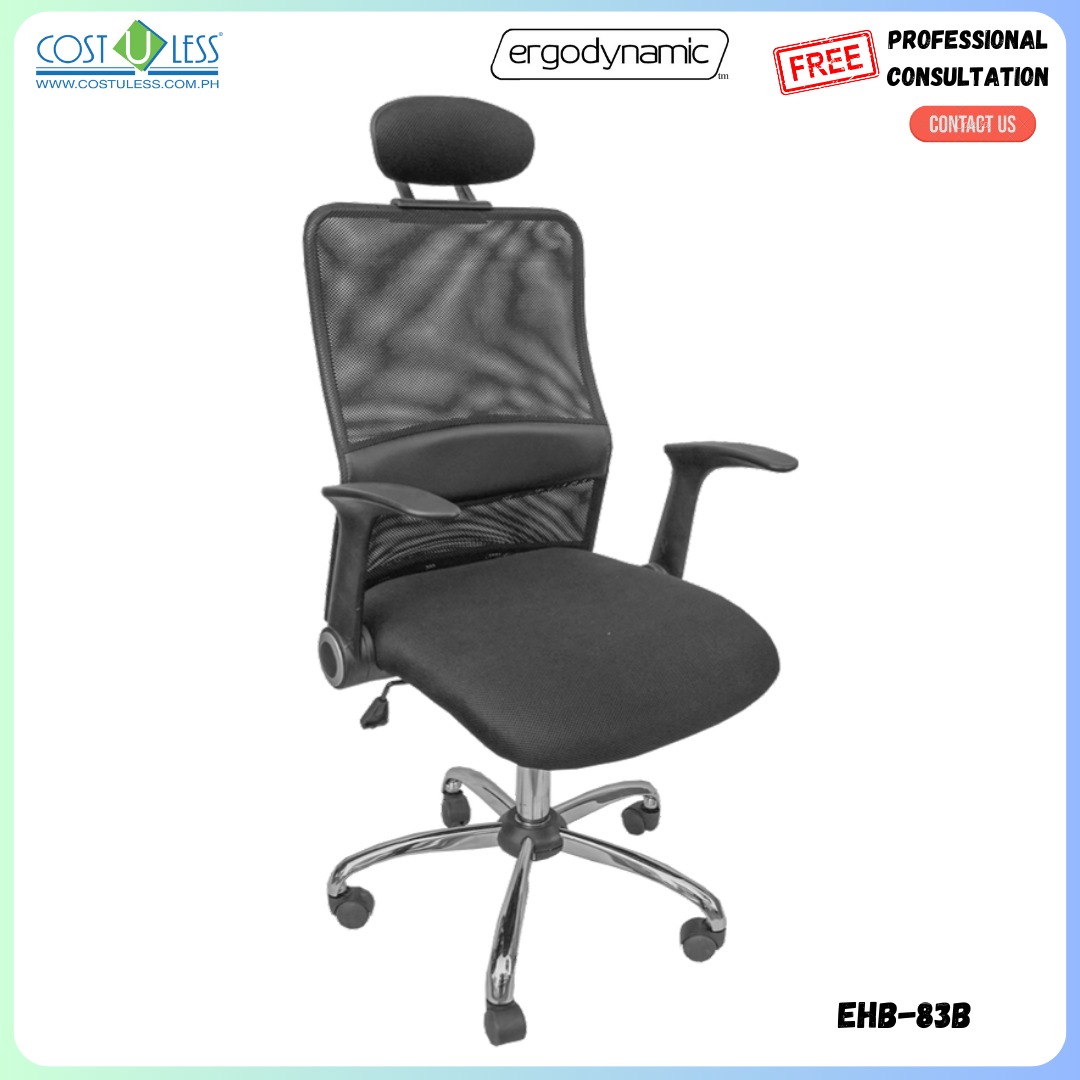 Ergodynamic EHB-83B HighBack KOREAN High End Mesh Office Chair ...