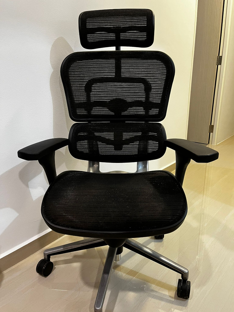 Ergohuman Classic Mesh Furniture Home Living Furniture Chairs