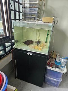 (Category: ) located in . Submitted by jamesang2266 (Listing ID 1266818328, Image 1). Description: .