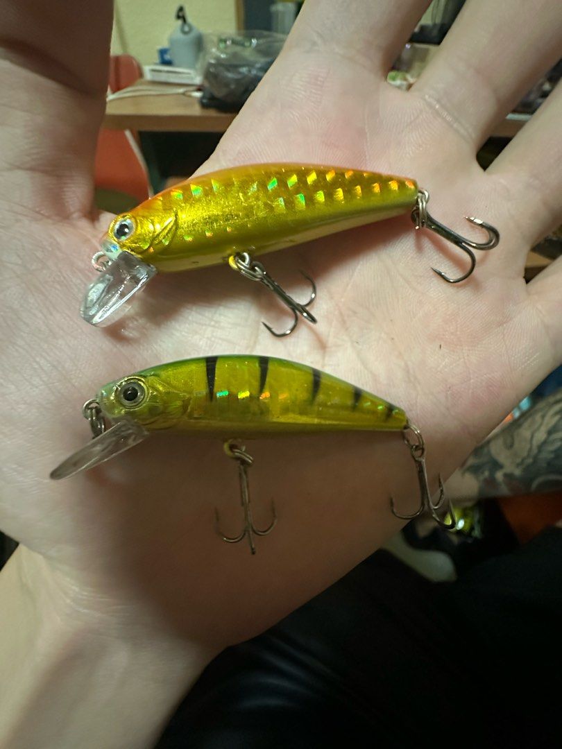 Fishing Lures minnow, Sports Equipment, Fishing on Carousell