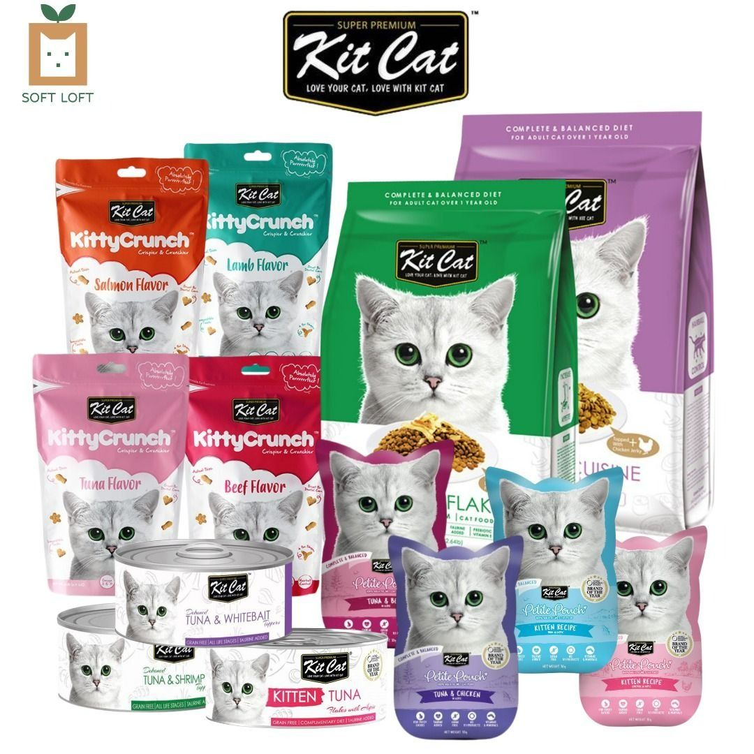 Cat accessories store hotsell