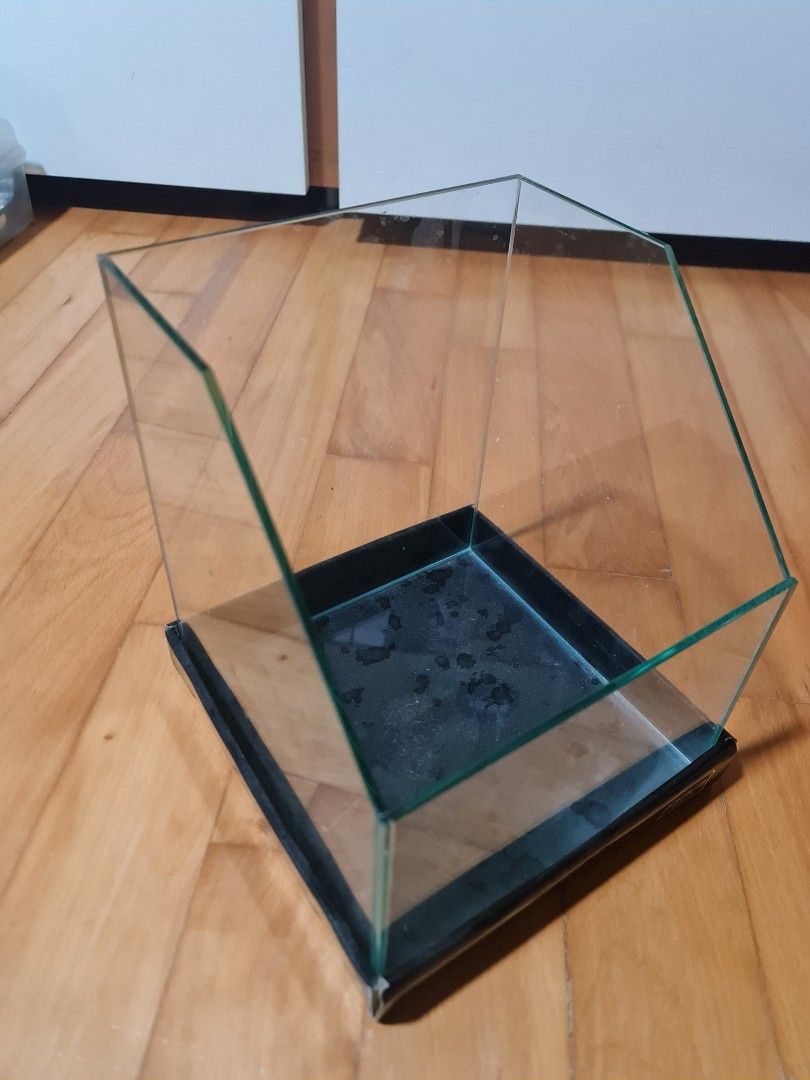 Gex terrarium tank 20 x 20 x 25 cm, Pet Supplies, Homes & Other Pet