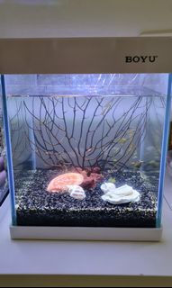 (Category: ) located in . Submitted by thatshopaholic (Listing ID 1266822172, Image 1). Description: .
