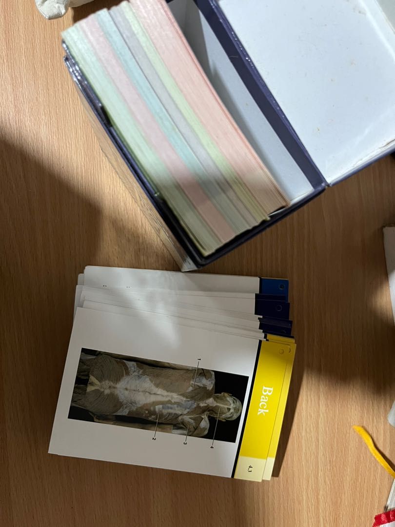 Rohen’s anatomy flash cards, Hobbies & Toys, Books & Magazines