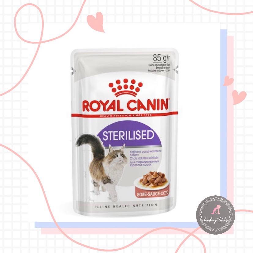 Royal Canin Sterilised Gravy Wet Food Pouch Pet Supplies Pet