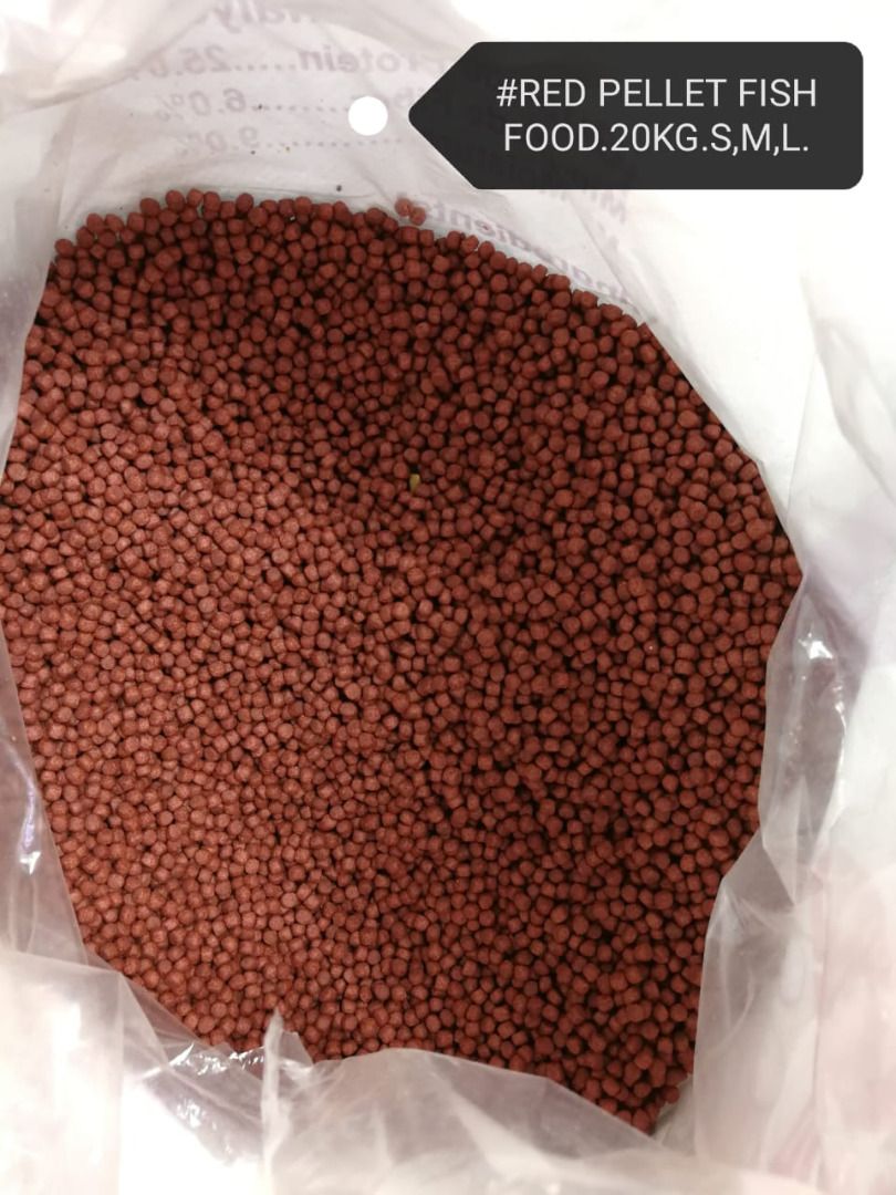 Pond fish deals food 20kg