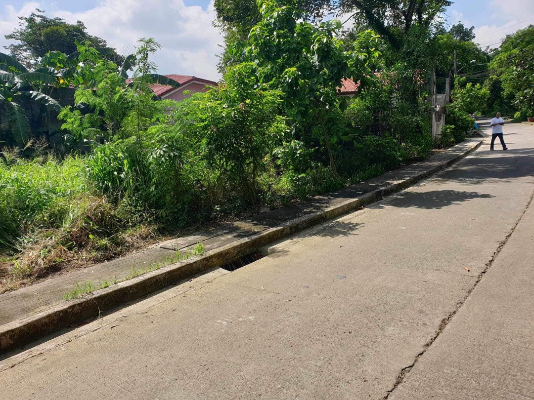 Vacant Lot For Sale 211 sqm, Property, For Sale, Lot on Carousell