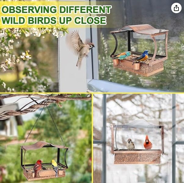 Window Bird Feeders, Metal Shockproof Window Bird Feeder for Outdoors  Hanging, 2 in 1 Detachable Bird Feeders with Hanging Chains, Hooks and  Waterer for Outside (CL0167), Pet Supplies, Homes & Other Pet