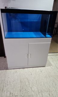 (Category: ) located in . Submitted by c_collect (Listing ID 1267063907, Image 1). Description: .