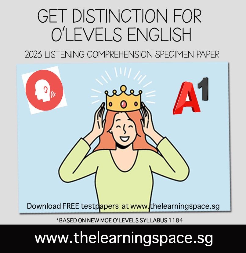 ACS English Language Literature IB Tuition by MOE Teachers, Learning ...