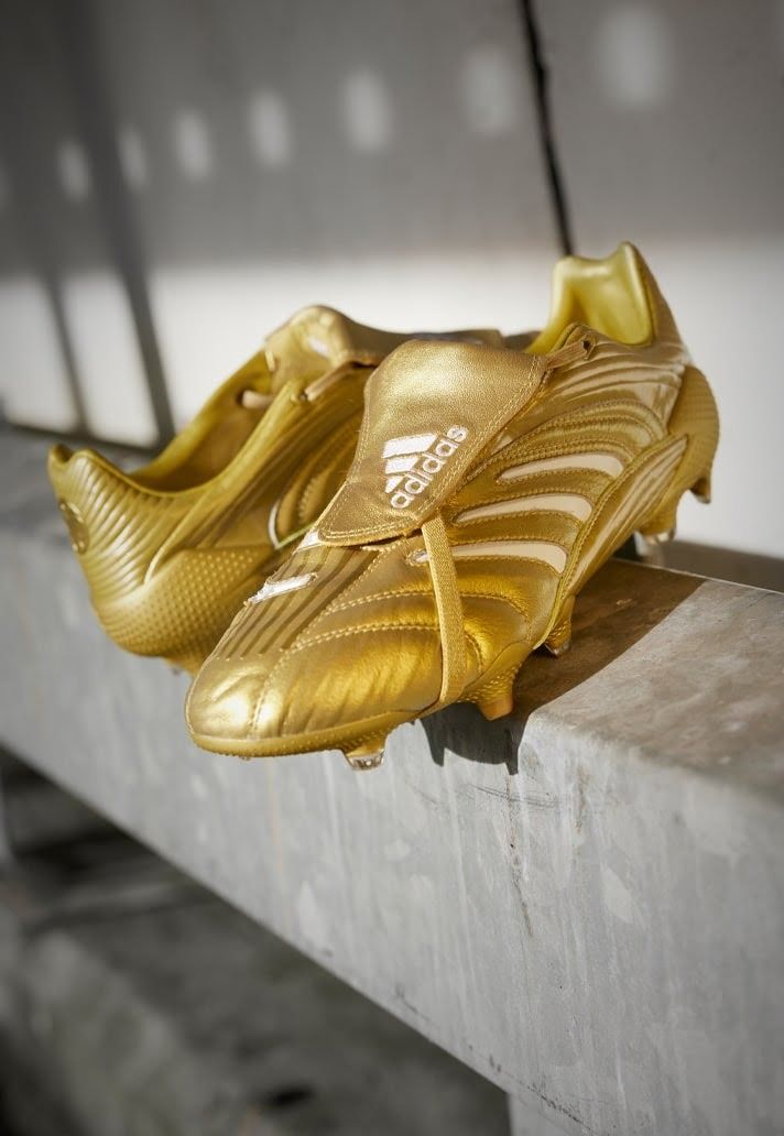 Gold best sale laceless predators
