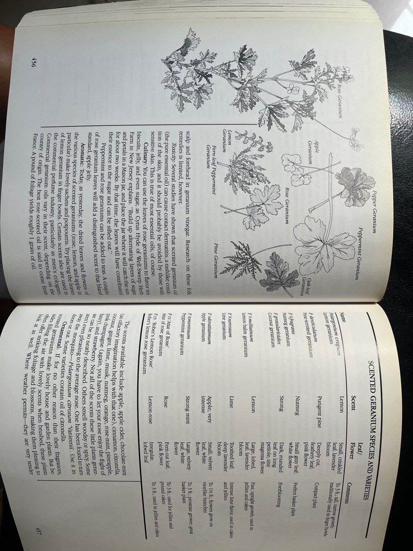 Book on Herbs Encyclopedia, Hobbies & Toys, Books & Magazines, Fiction