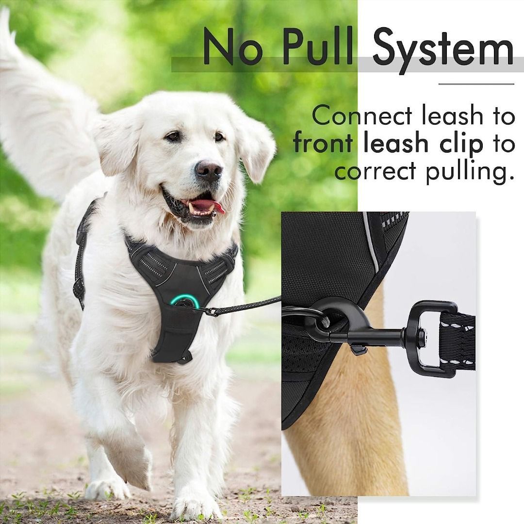 Front sales clasp harness
