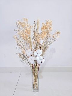 50PC Dried Babys Breath Flowers Bulk White Babys Breath Gypsophila Dried  Flowers