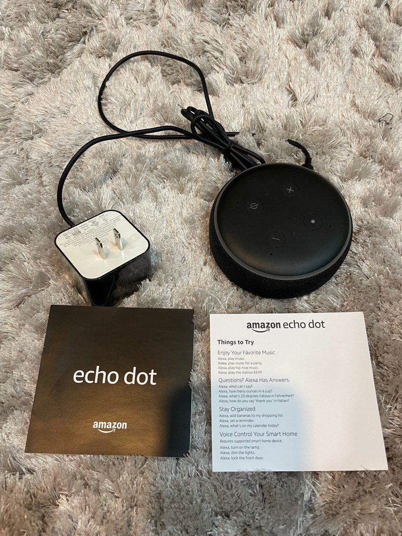 Echo dot sale and plug