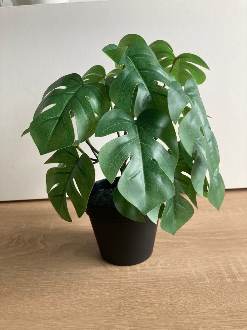 Ikea Fejka Artificial Plant Furniture Home Living Home Decor
