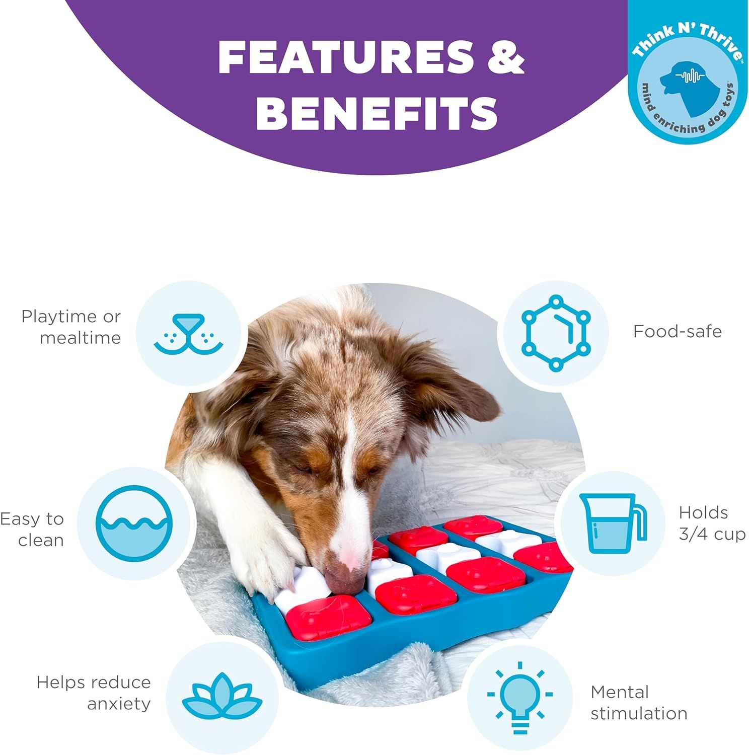 Outward Hound Nina Ottosson Dog Brick Interactive Puzzle Game Toy