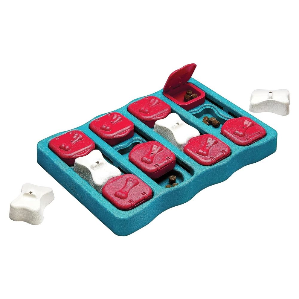 Outward Hound Nina Ottosson Dog Brick Interactive Puzzle Game Toy