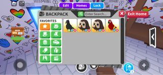 Adopt Me Roblox Trading FR Parrot for Crow and Hedgehog ., Video