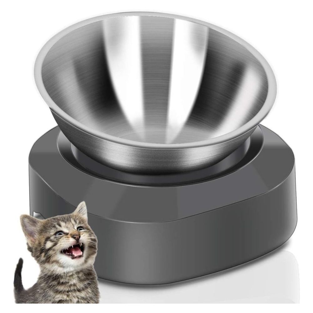 Elevated cat online water bowl