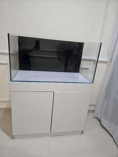 (Category: ) located in . Submitted by mdhany (Listing ID 1267218638, Image 1). Description: .
