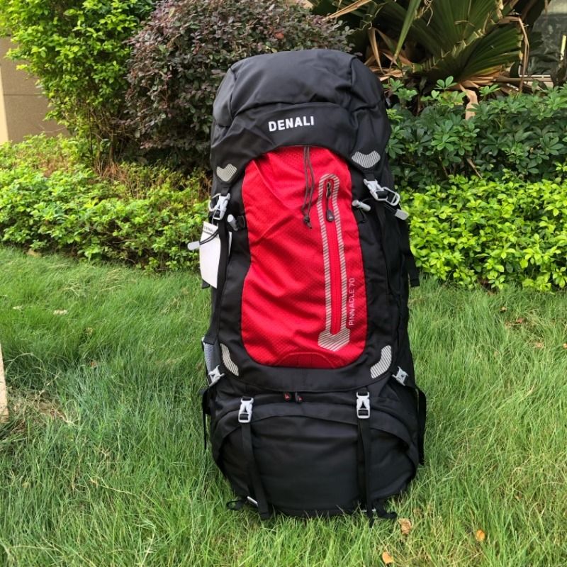 Denali pinnacle new arrivals hike pack
