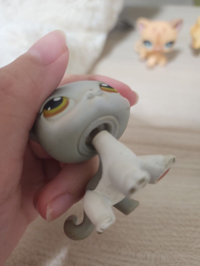 Authentic short hair cat littlest pet shop