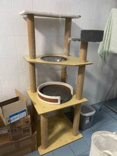 (Category: ) located in . Submitted by omochahako (Listing ID 1267351144, Image 1). Description: .