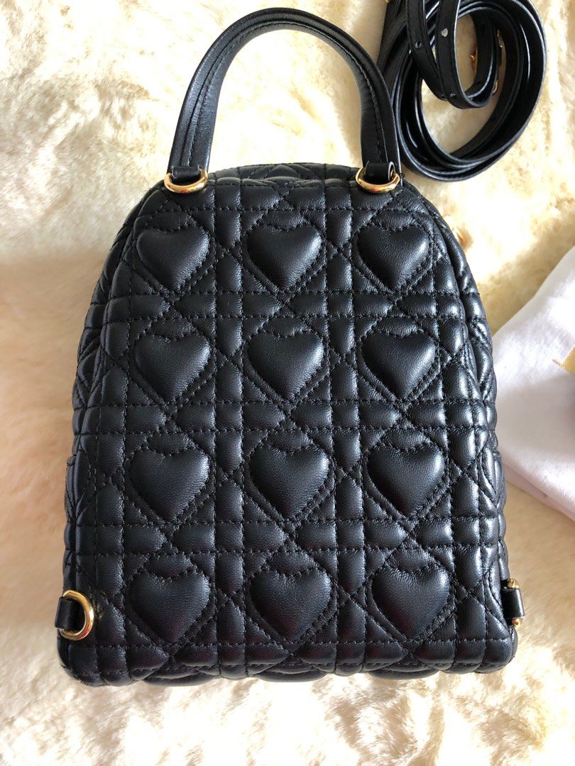 Dior armour bag online