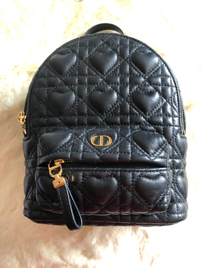 Dior sales armour bag