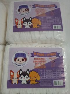 Disposable diaper for male dogs