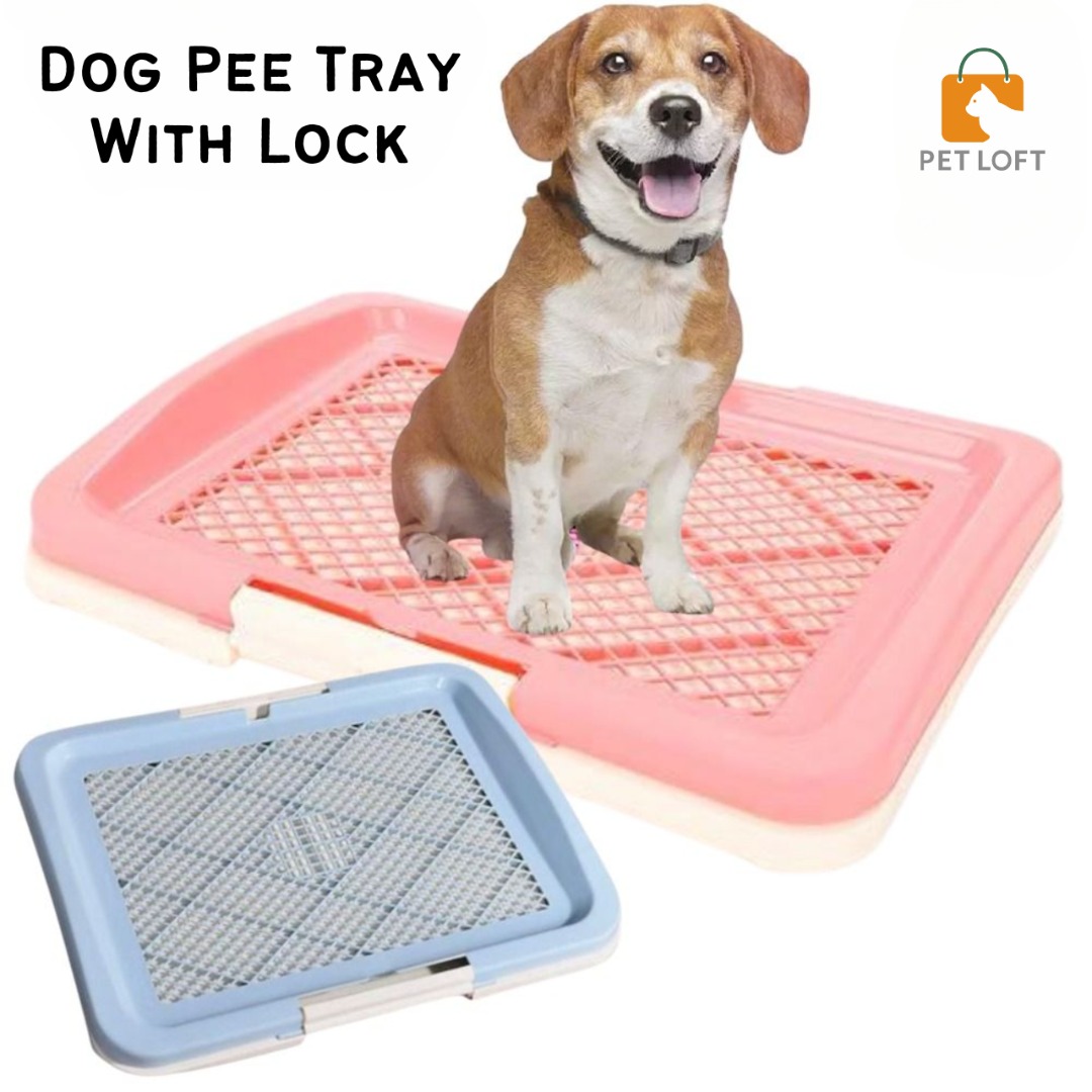Dog Pee Tray Dog Potty Tray Dog Pee Tray With Lock Dogs Puppy Pee Pan