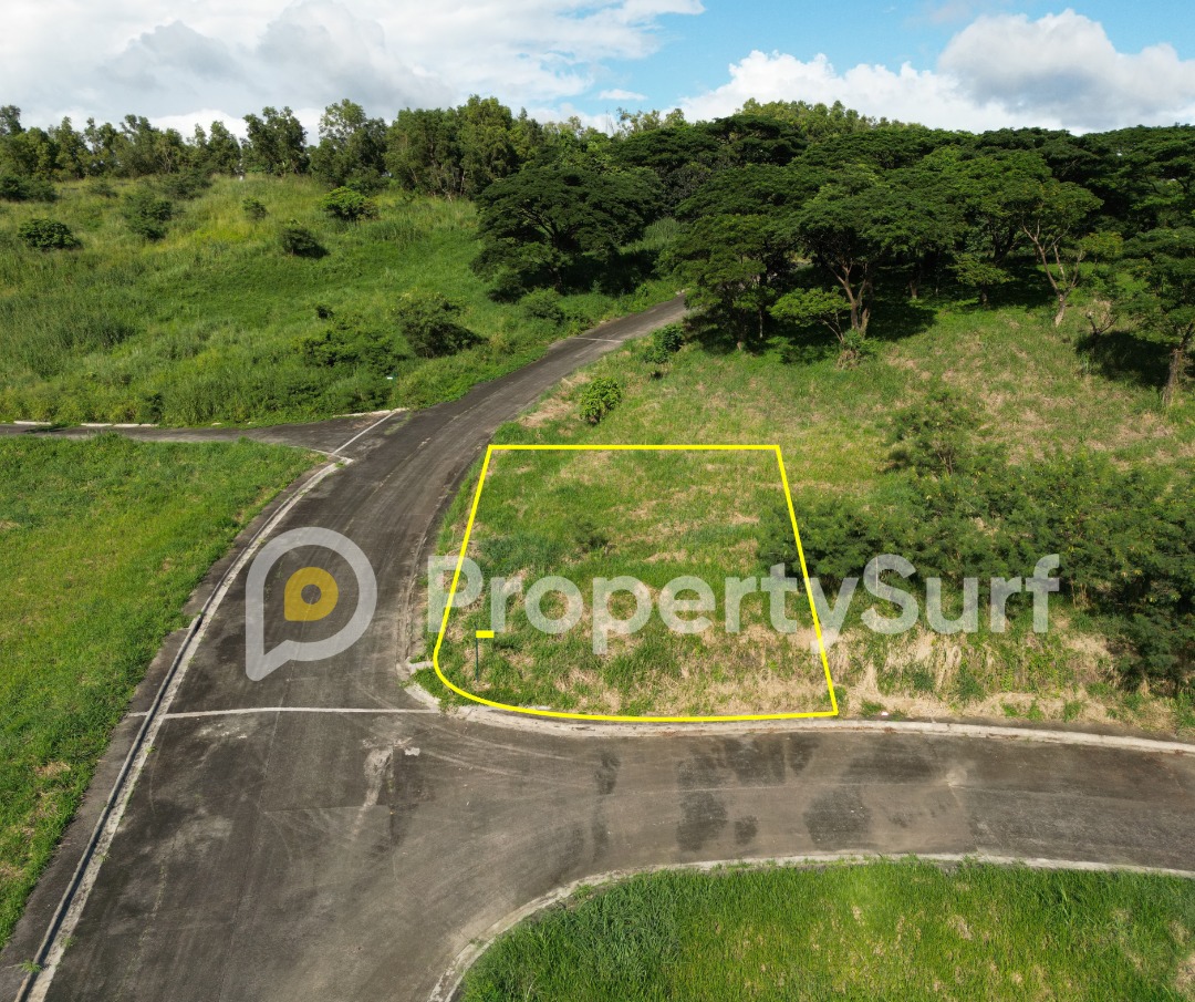 Eastland Heights Corner Lot with possible skyline views 711 sqm