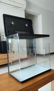 (Category: ) located in . Submitted by WoodNMarble (Listing ID 1267220926, Image 1). Description: .