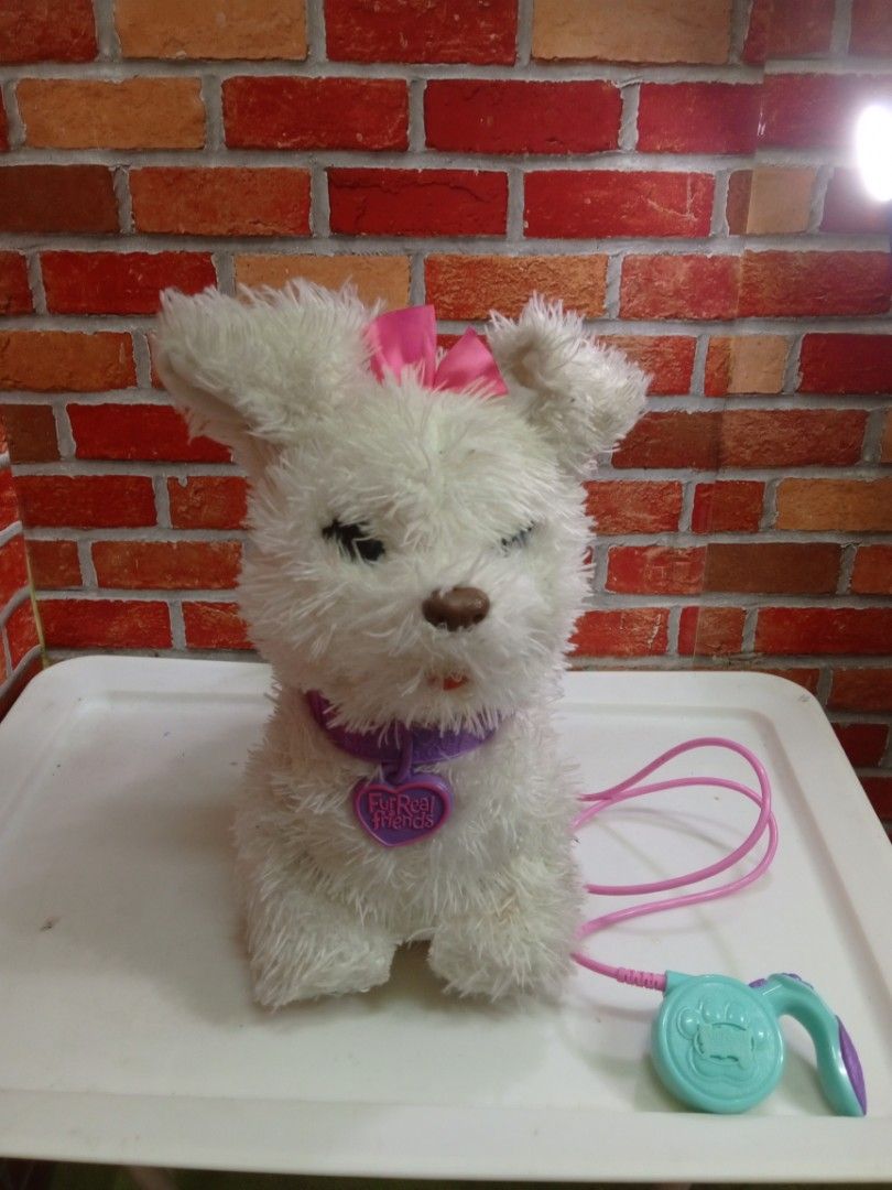 Gogo hotsell dog toy