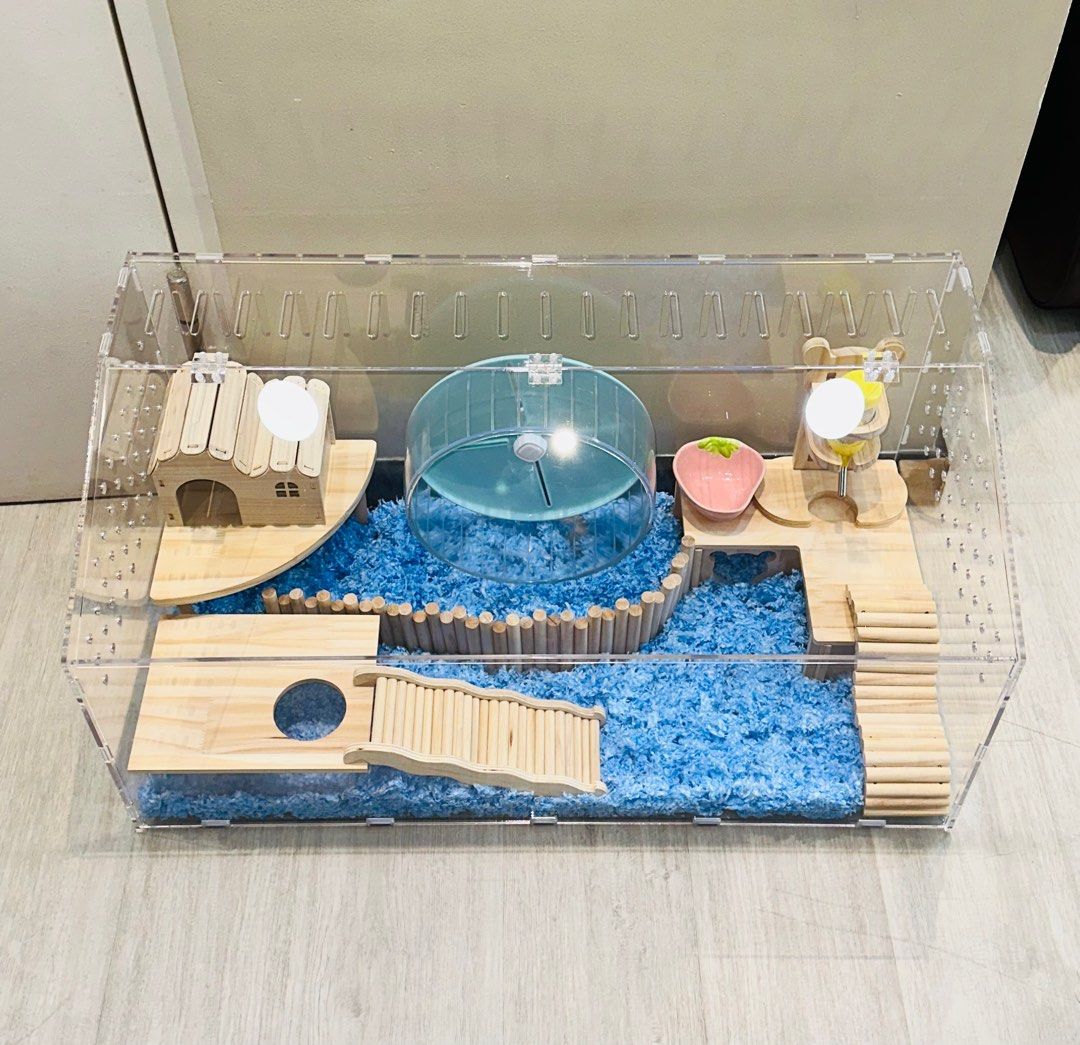 Photo inspiration: Fresh Look at Hamster Acrylic Cage Syrian 80Cm 100Cm Cage Wooden Accessories Setup