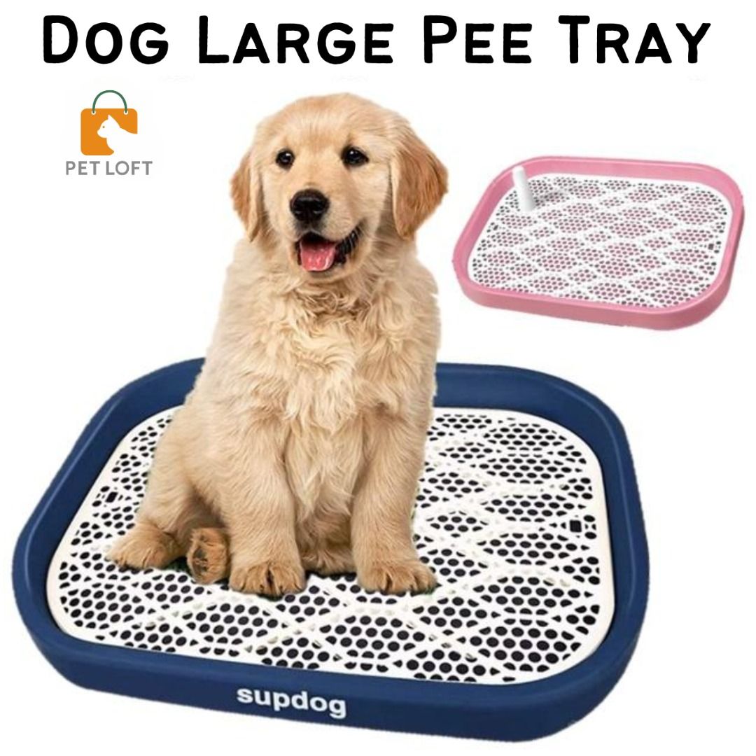 Large Dog Pee Tray Pets Dog Toilet Training Urine Tray