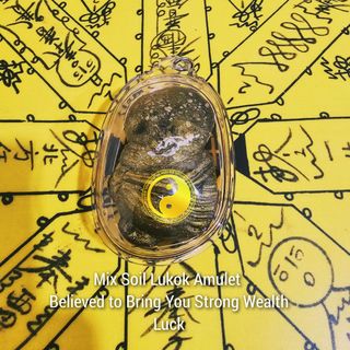 ⭐Thailand Bucha And Amulets⭐ Collection item 1