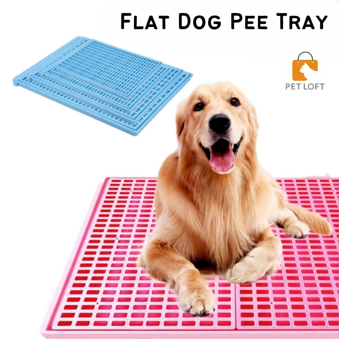 Dog store toilet tray