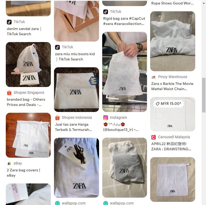 Dust bag zara clearance