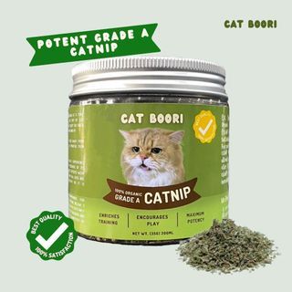 100% Organic Grade A Catnip