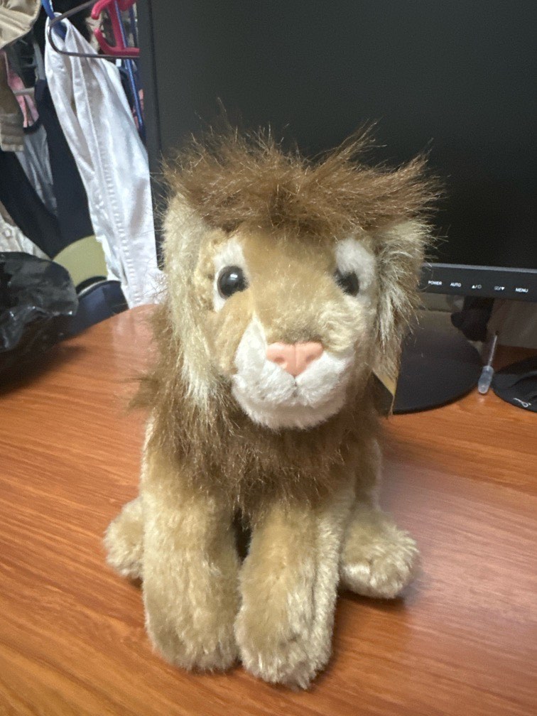 Animal alley deals lion