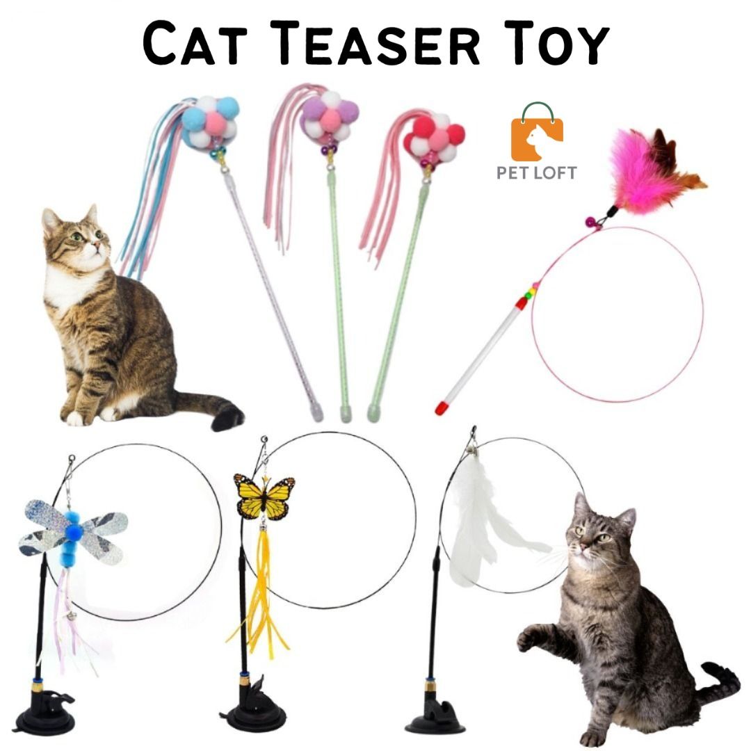 Cat Teaser Kitty Toys Feather Long Rod Suction Cup Kitten Interactive Training Toy Cat Fun Play Teaser Wands