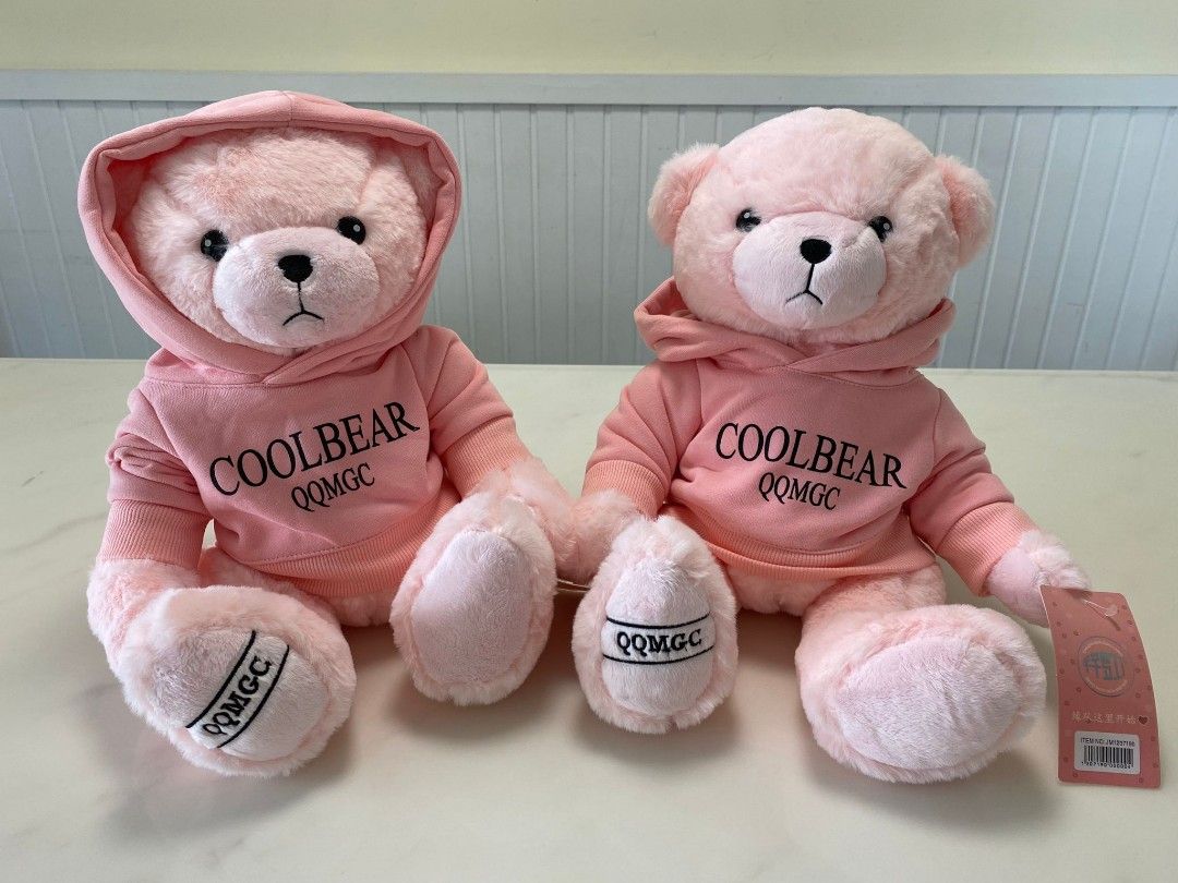 Teddy bear on sale brand hoodie