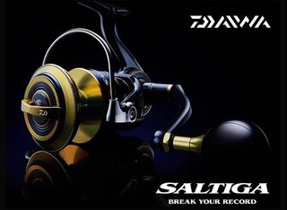 Daiwa Saltiga 6000 GT, Sports Equipment, Fishing on Carousell