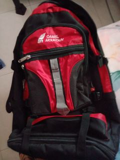 Mountain gear 2025 backpack singapore