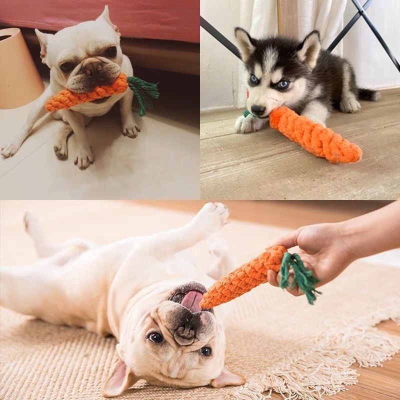 4 PC Rope Dog Toy Tug Interactive Toys Chewing Puppy Teething